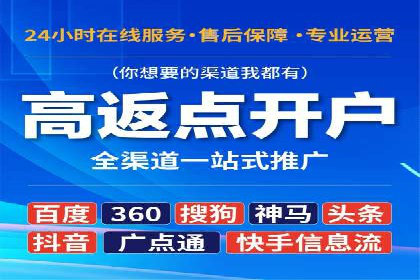SEM托管公司案例分析：实战技巧全解析